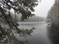 Сплав по реке Шуя на майские