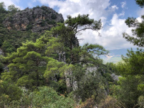 В Сердце Ликийской тропы (Поход вдоль моря, без рюкзаков)