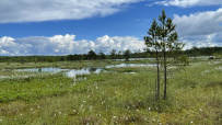 Велопоход в арт-парк Никола-Ленивец