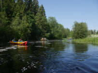 Оредеж — прогулка на байдарках (1 день)