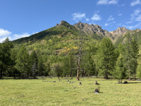 Сплав по рекам Жомболок и Ока Саянская