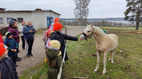 Активные выходные – для всей семьи