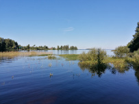 Сплав по реке Шуя