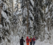 Лыжный поход «Лесная зимняя сказка» (Подмосковье)