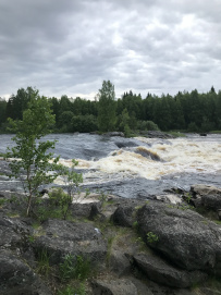 Сплав по рекам Вама и Водла