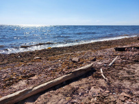 Аметистовый берег Белого моря