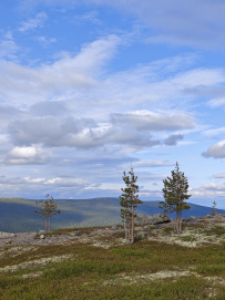 Колвица на морских каяках (байдарках). Путешествие на землю Саамов