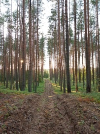 Сплав по реке Медведица с баней и автосопровождением