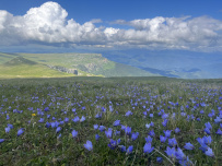 Горный лагерь в Лаго-Наки