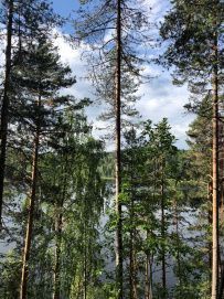 Пётсёваара - царство горных троллей