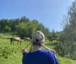 Сплав по реке Чарыш на байдарках