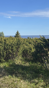 Аметистовый берег Белого моря