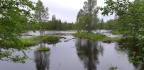 Сплав по реке Воньга и Белое Море на байдарках