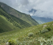 Красоты Безенги
