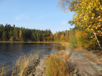 Крыша Ладоги