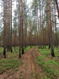 Каньон реки Ящеры