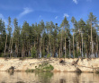 Водная сотня: поход на байдарках по реке Молога