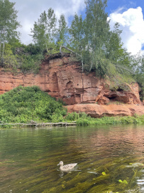 Оредеж — прогулка на байдарках (1 день)