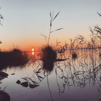 Сплав по реке Умба