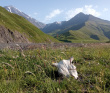 Жемчужины Дагестана. Все чудеса страны гор в одной поездке 