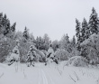 Лыжный поход с тёплой ночёвкой «Страна белоснежных троп» (Подмосковье)