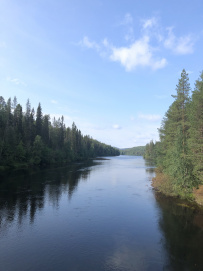 Крыша Карелии (национальный парк Паанаярви)