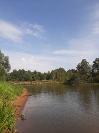 Сплав на сапборде по реке Клязьма (один день)
