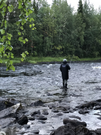 Сплав по реке Кереть и Белое море