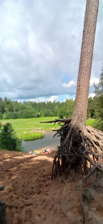 Оредеж — прогулка на байдарках (1 день)