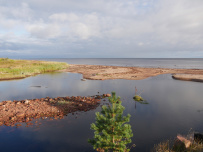 Аметистовый берег Белого моря