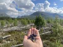 Горный лагерь в Хибинах