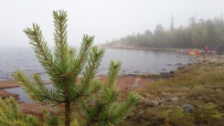 Сплав по реке Воньга и Белое Море на байдарках