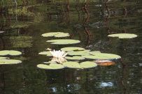 Пеший поход в Каннельярви