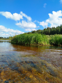 Сплав по реке Медведица с баней и автосопровождением