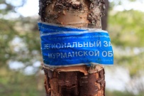К тайнам Лапландии на морских каяках: Ловозеро, Сейдозеро и Ловозерские тундры