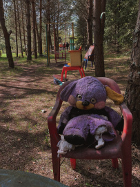 Пеший поход на Суворовские карьеры