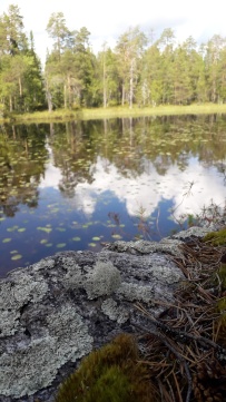 Сплав по реке Воньга и Белое Море на байдарках