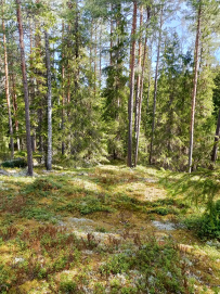Поход на Треугольное озеро (ночёвка в гостевом доме Лиетлахти)