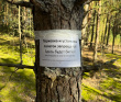 Турслёт День рождения Клуба в Подмосковье