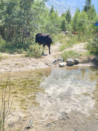 Горные трекинги Приэльбрусья с детьми (проживание на базе)