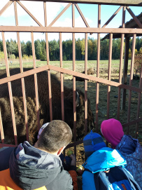 Прогулка в Зубровник для родителей с детьми!