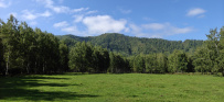 Сплав по реке Чарыш на байдарках