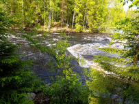 Сплав по реке Суна на байдарках