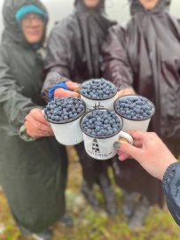 Твоя Камчатка: вулканы, гейзеры и Тихий океан