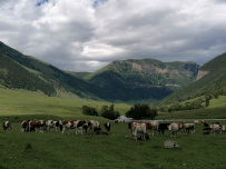 По дорогам древнего Кавказа (из Теберды в Архыз)