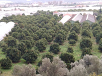 В Сердце Ликийской тропы (Поход вдоль моря, без рюкзаков)