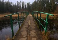 Трекинг по Оредежским берегам