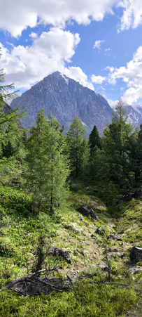 Горный лагерь в Актру (проживание в домиках)