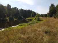 Детский турслёт