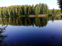 Сплав по реке Шуя